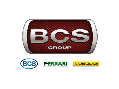 BCS GROUP BCS FERRARI PASQUAII